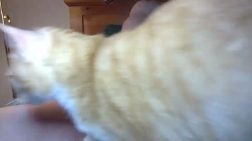 Big_Dick_Finance_Boy  19-09-2021 video kissing